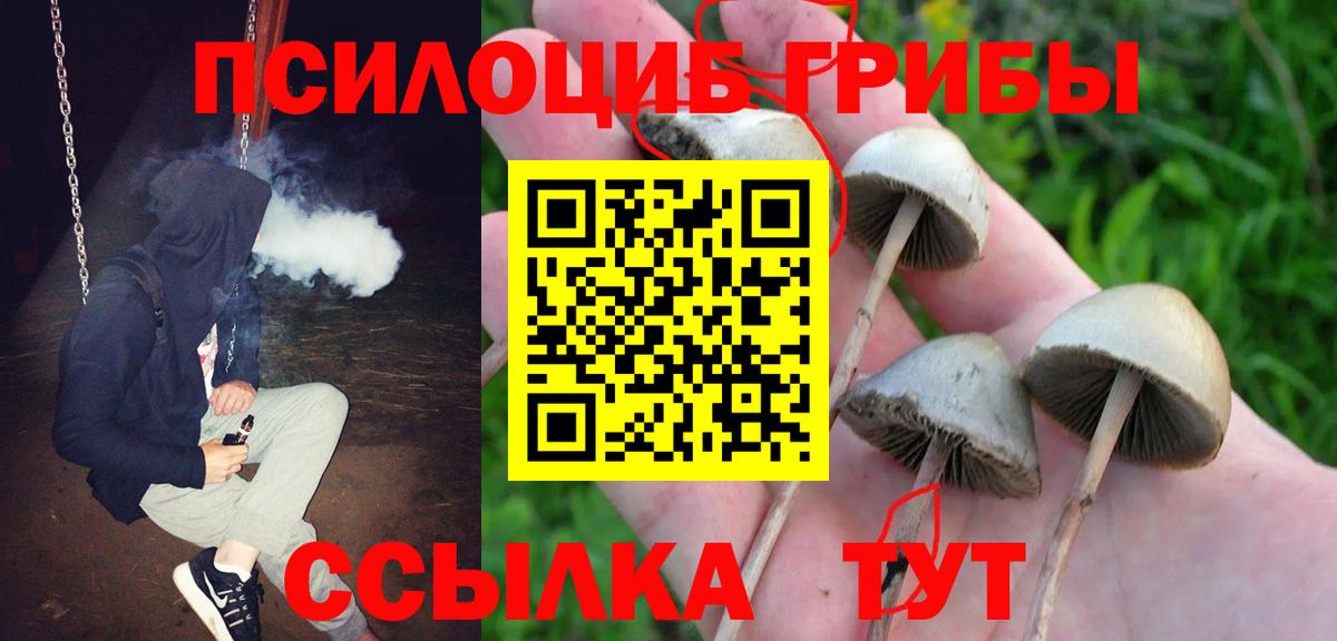 Галлюциногенные грибы ЛСД Курчатов