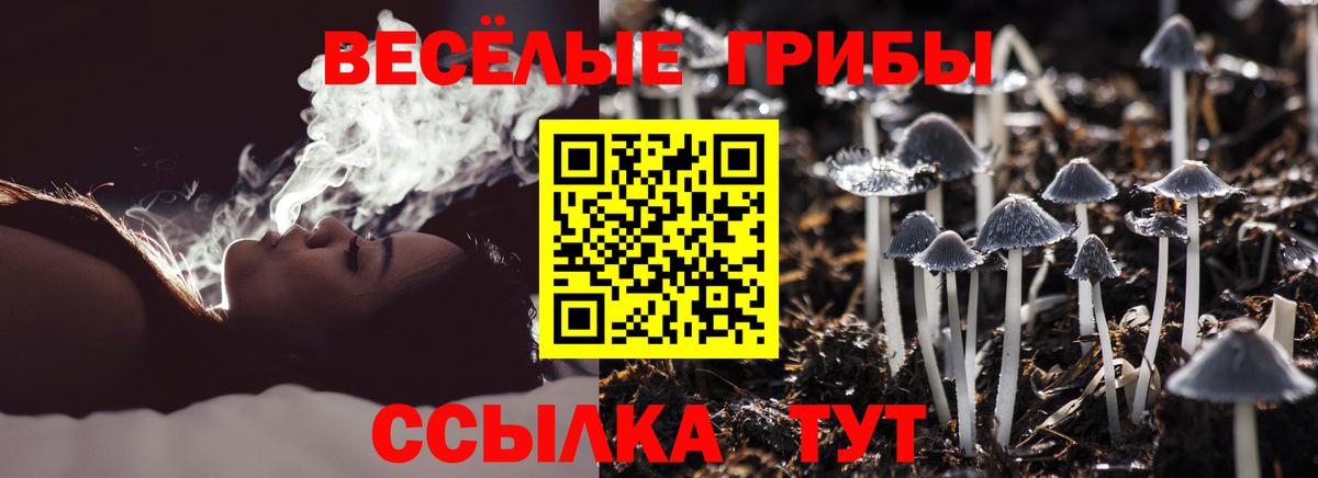 Псилоцибиновые грибы Psilocybine cubensis  Вход с VPN  Курчатов 